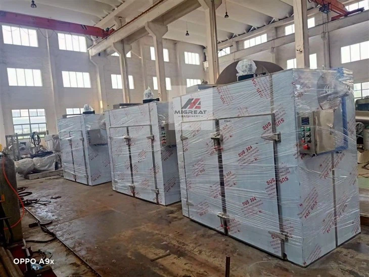 vegetable and fruit drying equipment (4)(001)